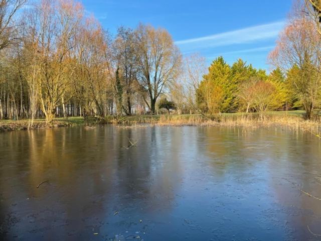 La Marelle Avrillé-les-Ponceaux Exterior foto