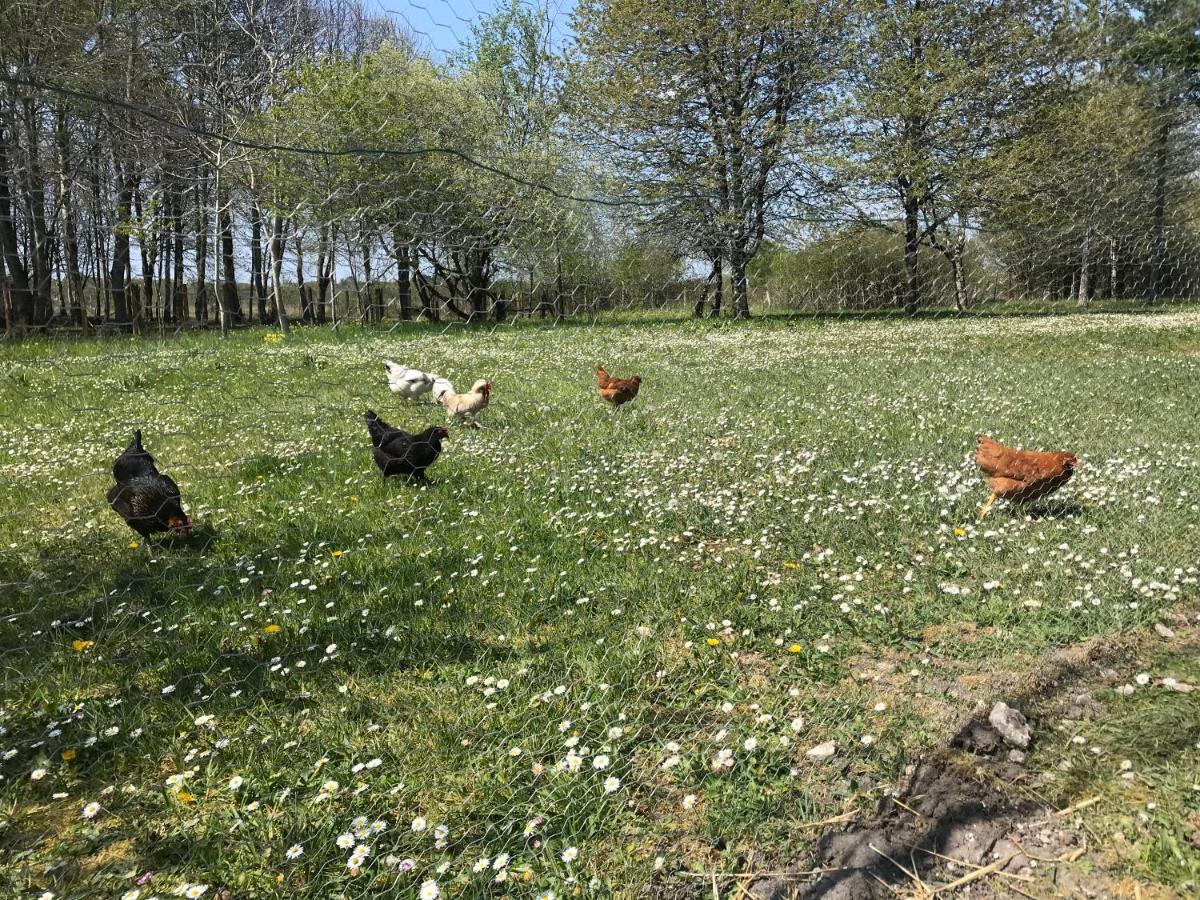 La Marelle Avrillé-les-Ponceaux Exterior foto