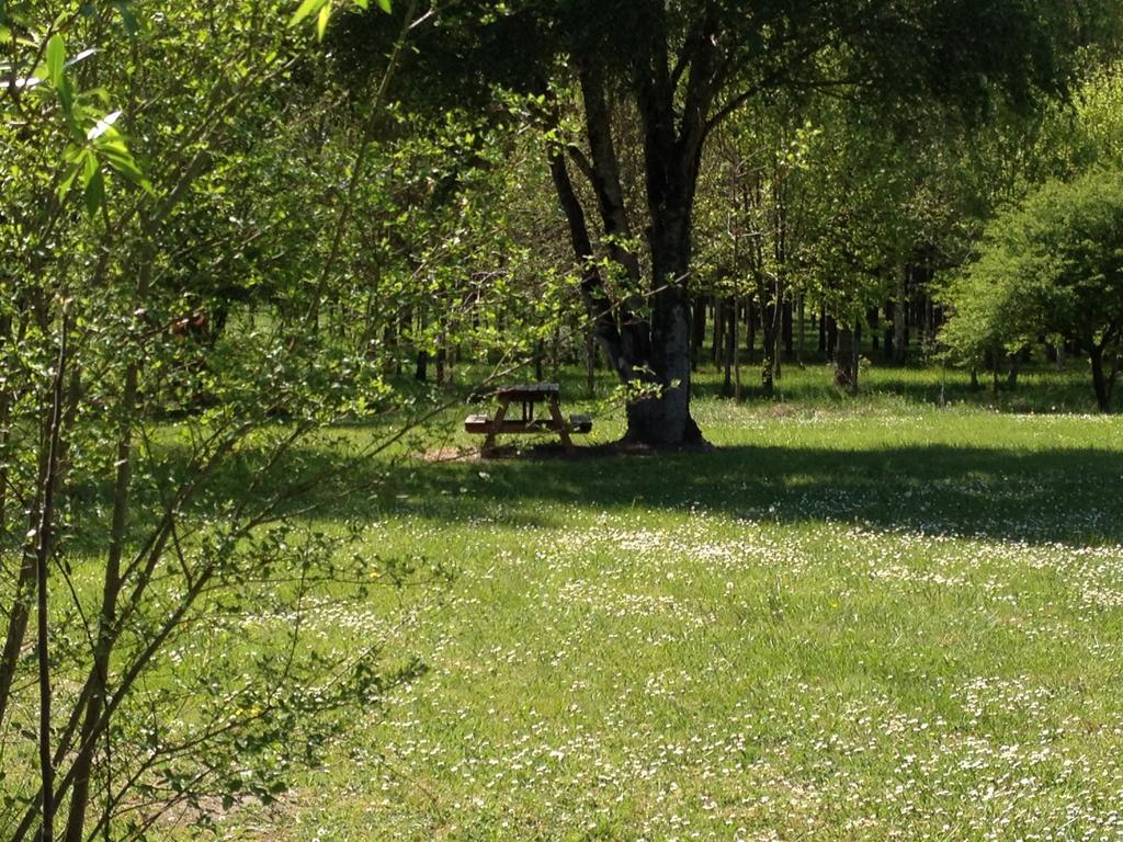 La Marelle Avrillé-les-Ponceaux Quarto foto
