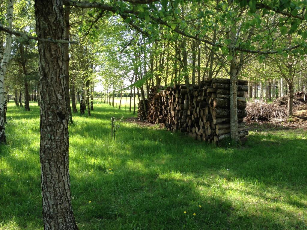 La Marelle Avrillé-les-Ponceaux Quarto foto